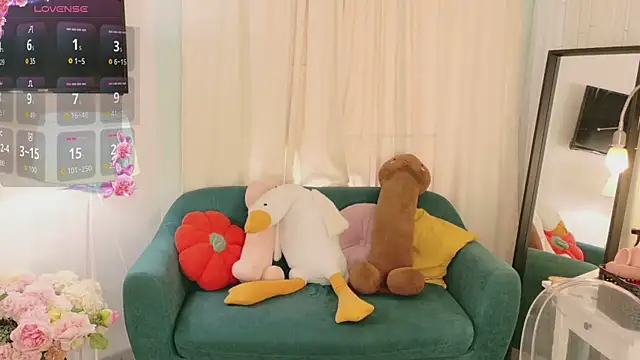 Mira_Falls webcam