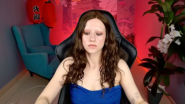 LidaDarknet webcam