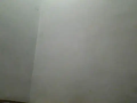 Foxboy65 webcam