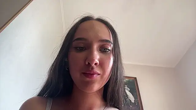 Liesenaniles webcam