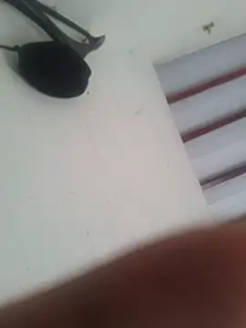 Dio19cm webcam