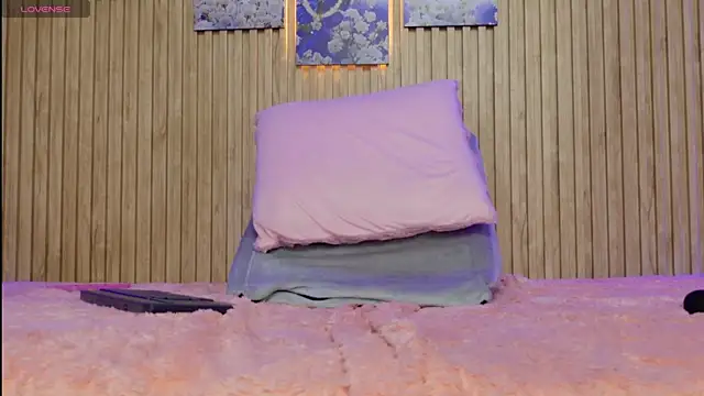 Moonceleste webcam