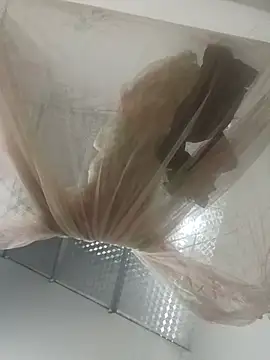 Minmin_sex webcam