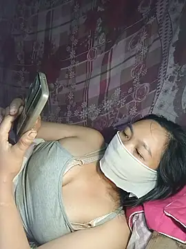 Hiha-nn webcam