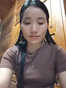 Td3di webcam