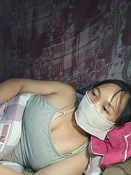 Hiha-nn webcam