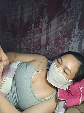 Hiha-nn webcam
