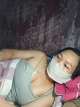 Hiha-nn webcam