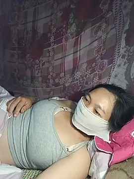 Hiha-nn webcam