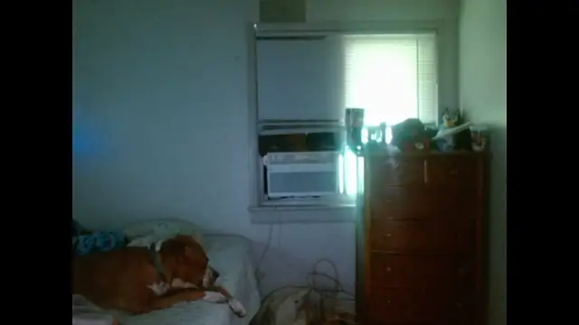 DADDY_KANE8--- webcam