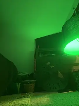 SmokingSloth webcam