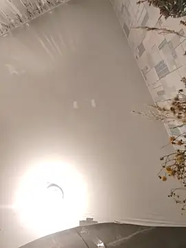 StarNicole webcam