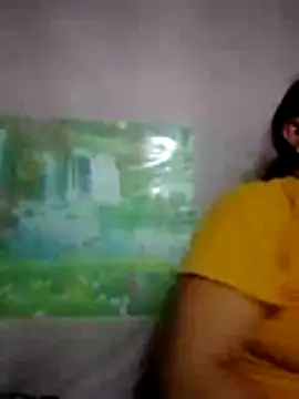 Lidaa-a webcam