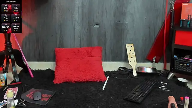 Liittledolly webcam