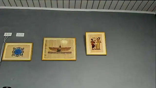 derekk_frostt webcam