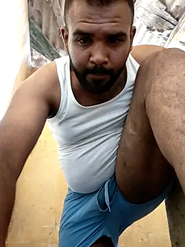 Lion_meis webcam