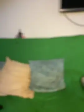 Carola-Ross webcam