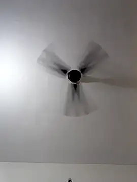 BellaxTrans webcam