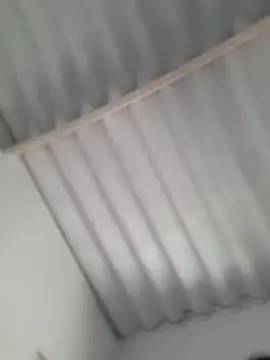 cataleshay webcam