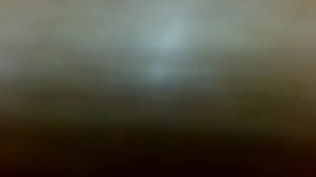 KellyShibary webcam
