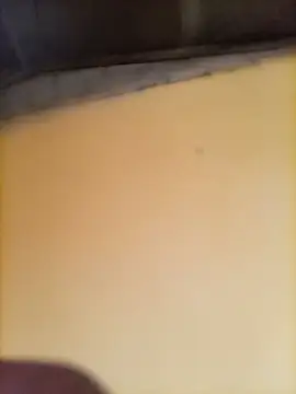 Giftedd_99 webcam
