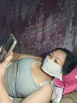 Hiha-nn webcam