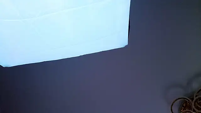 PerryKitty webcam