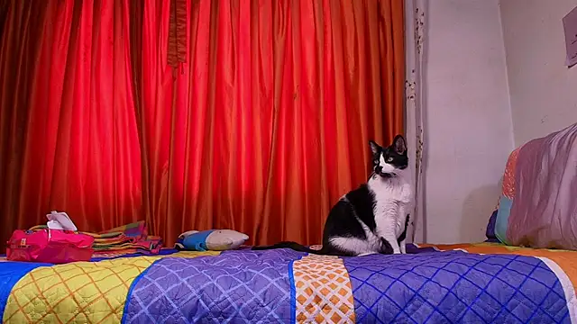 jeanne_holland live sex cam