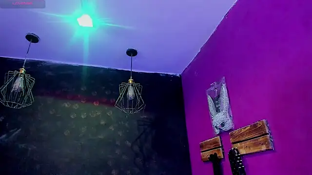 Alexa_Slave webcam