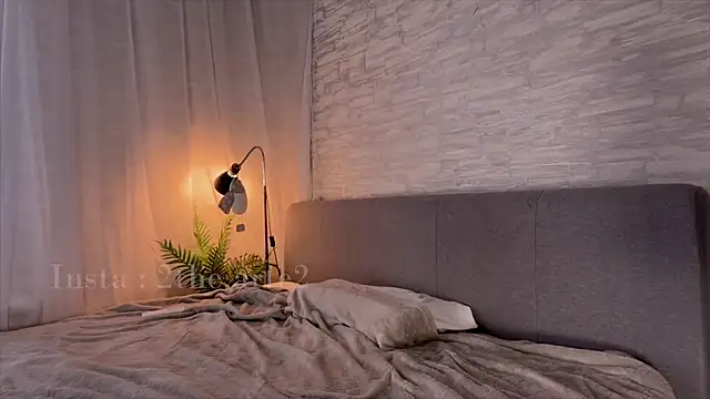 ___art webcam