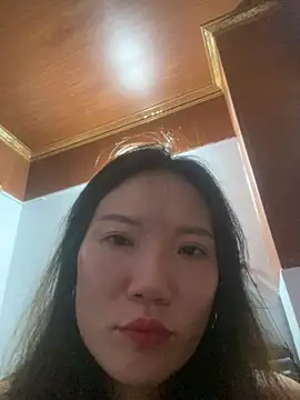 tttan1 webcam