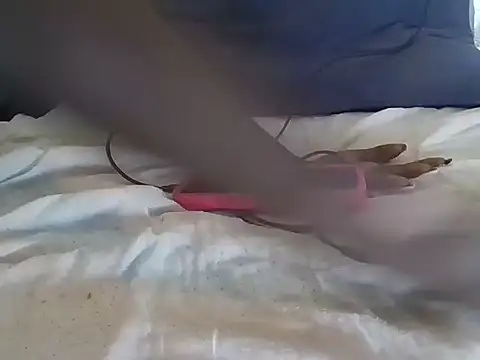 Rato250 webcam
