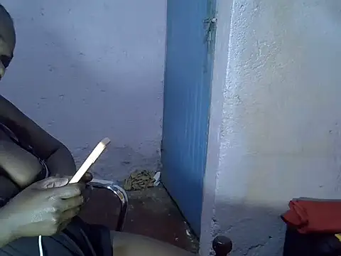 tashlin webcam