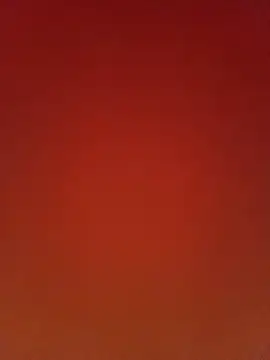 pricilanunes webcam