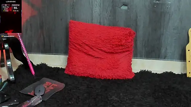Liittledolly webcam