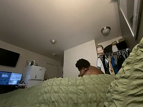 Tattedupdek webcam