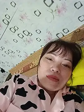 Sana-vn webcam