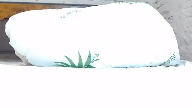 Chleona webcam