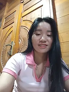 Td3di webcam
