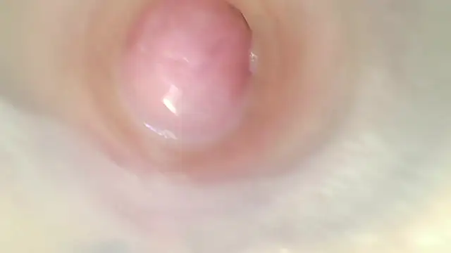 karol_stom webcam