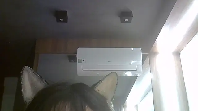 SkinnyKitten webcam