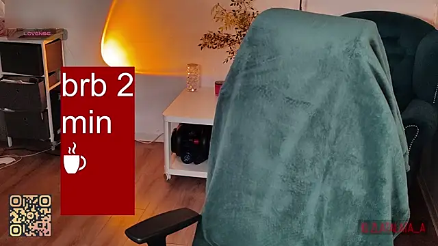 FENIX_ZLA webcam