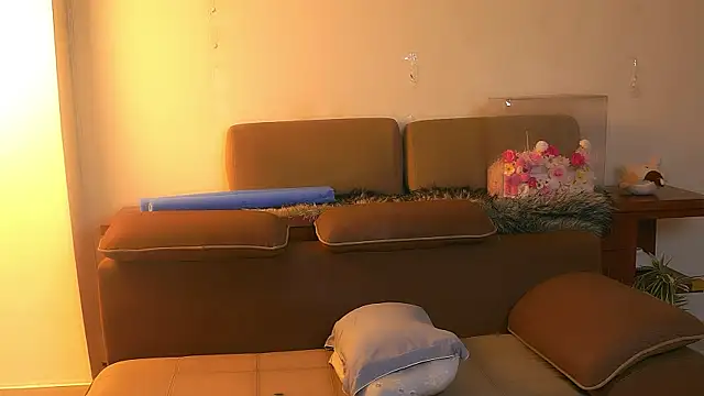 Cotiendam_21 webcam