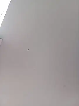 celeste_mill webcam