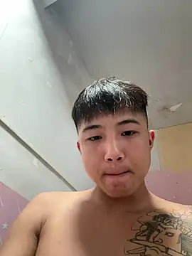 8k6660 webcam