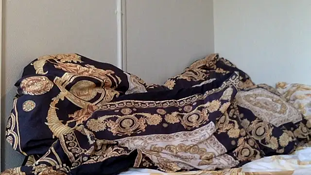 NorTwunk webcam