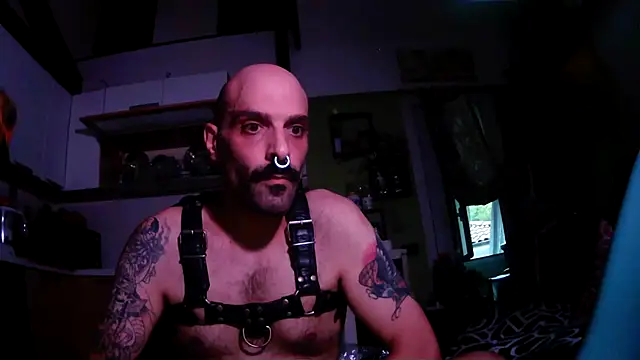 danix_wild_wolf webcam
