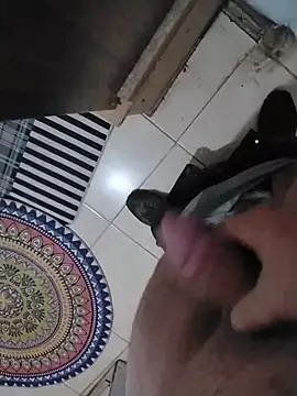 Esay123W webcam