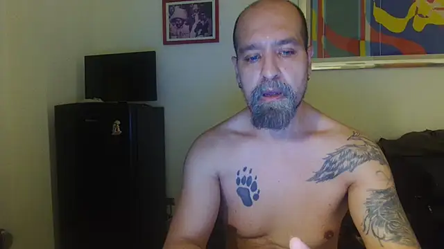 AMIRDIB2025