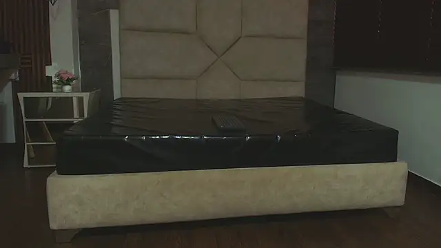 Tyler_Mcrey webcam